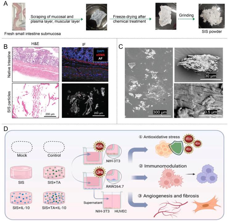https://cdn.ncbi.nlm.nih.gov/pmc/blobs/23ea/12194566/8f631f9edaa2/materials-18-02752-g004.jpg