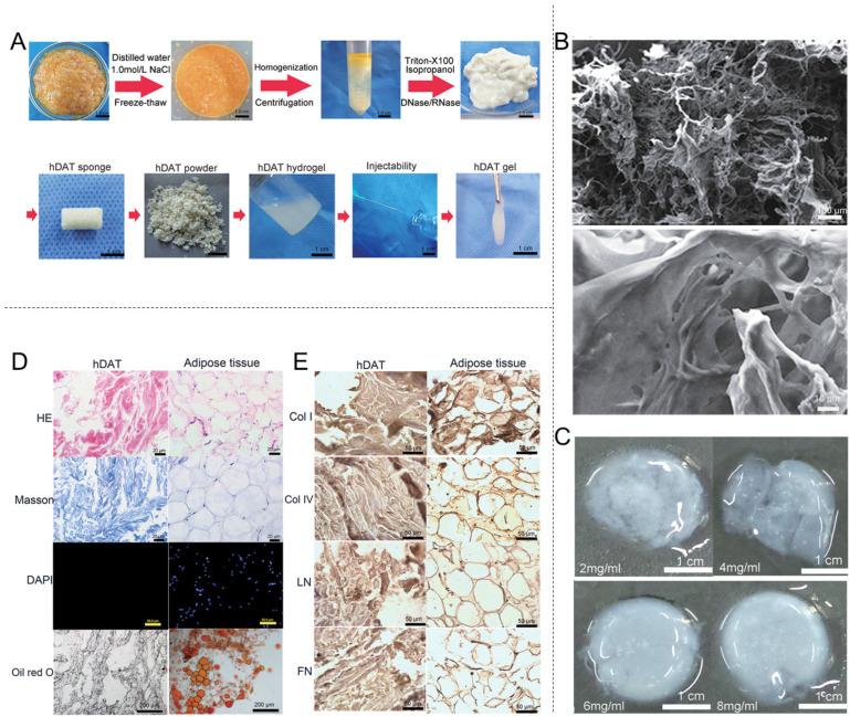 https://cdn.ncbi.nlm.nih.gov/pmc/blobs/23ea/12194566/9cf80db3dc7c/materials-18-02752-g005.jpg