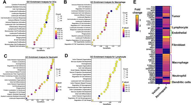 https://cdn.ncbi.nlm.nih.gov/pmc/blobs/23ec/12231904/66d9de957d84/13046_2025_3452_Fig5_HTML.jpg