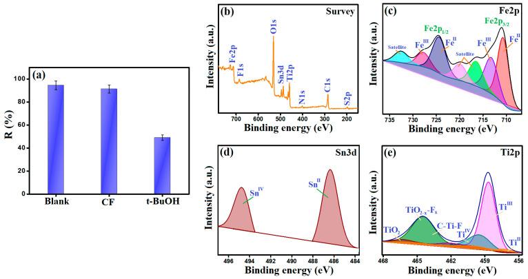 https://cdn.ncbi.nlm.nih.gov/pmc/blobs/23ed/10780543/248f3f740faa/nanomaterials-14-00054-g007.jpg