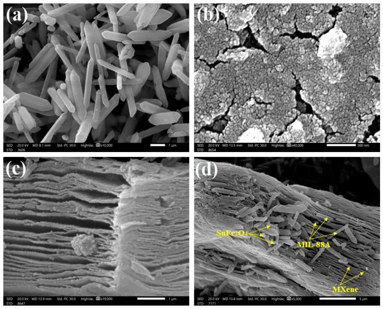 https://cdn.ncbi.nlm.nih.gov/pmc/blobs/23ed/10780543/c79f336ee24f/nanomaterials-14-00054-g002.jpg