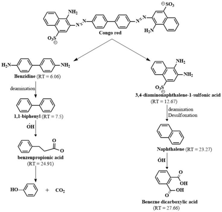 https://cdn.ncbi.nlm.nih.gov/pmc/blobs/23ed/10780543/cb3f3b02ef05/nanomaterials-14-00054-g009.jpg