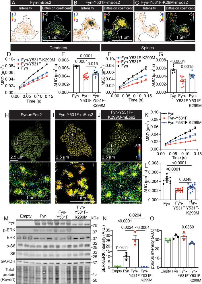 https://cdn.ncbi.nlm.nih.gov/pmc/blobs/23ef/9908554/1bd332380380/41380_2022_1825_Fig2_HTML.jpg
