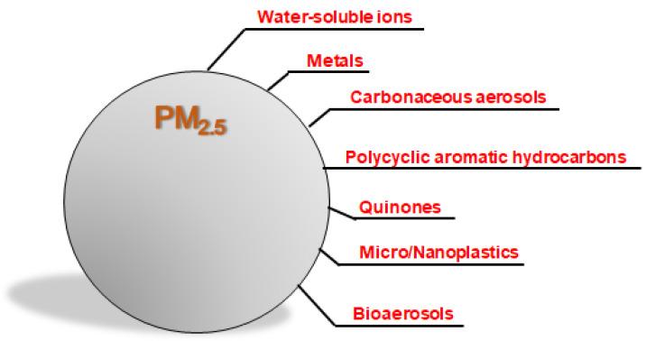https://cdn.ncbi.nlm.nih.gov/pmc/blobs/23f0/12189059/3c020d937327/antioxidants-14-00730-g001.jpg