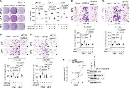 https://cdn.ncbi.nlm.nih.gov/pmc/blobs/23f0/8318370/3cf5296895a5/abg7073-F6.jpg