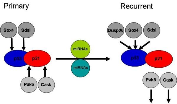 https://cdn.ncbi.nlm.nih.gov/pmc/blobs/23f5/3285047/696349c66fcd/1757-2215-5-2-6.jpg