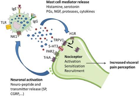 https://cdn.ncbi.nlm.nih.gov/pmc/blobs/23f7/4755958/6ae37112adab/40348_2016_36_Fig2_HTML.jpg