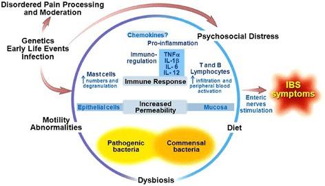 https://cdn.ncbi.nlm.nih.gov/pmc/blobs/23f7/4755958/73799c770723/40348_2016_36_Fig1_HTML.jpg
