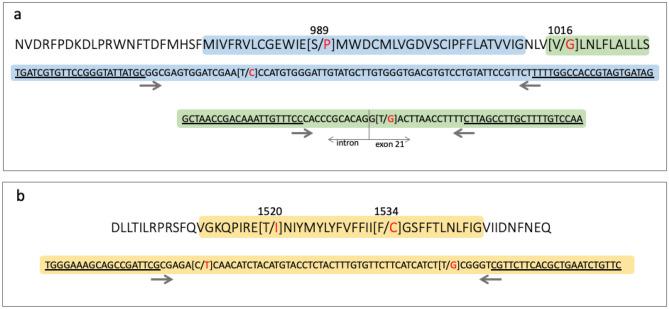 https://cdn.ncbi.nlm.nih.gov/pmc/blobs/23f8/7907206/7be1c7a81c84/41598_2021_83465_Fig6_HTML.jpg