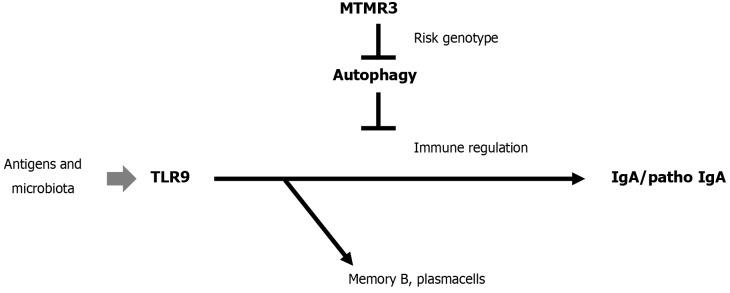 https://cdn.ncbi.nlm.nih.gov/pmc/blobs/23f9/11572654/38395bb25530/98709-g001.jpg