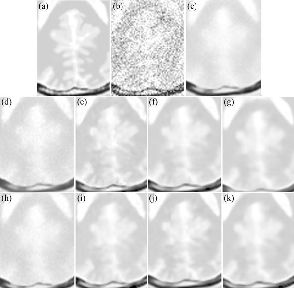 https://cdn.ncbi.nlm.nih.gov/pmc/blobs/23f9/4360923/a3e40e832c61/12938_2014_935_Fig14_HTML.jpg