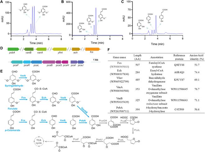 https://cdn.ncbi.nlm.nih.gov/pmc/blobs/23fa/11325090/23685e09415a/bdr.0044.fig.002.jpg