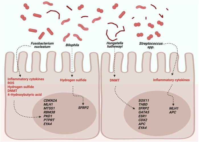 https://cdn.ncbi.nlm.nih.gov/pmc/blobs/23fe/10442805/12bdfb6b983c/fgene-14-1037406-g001.jpg