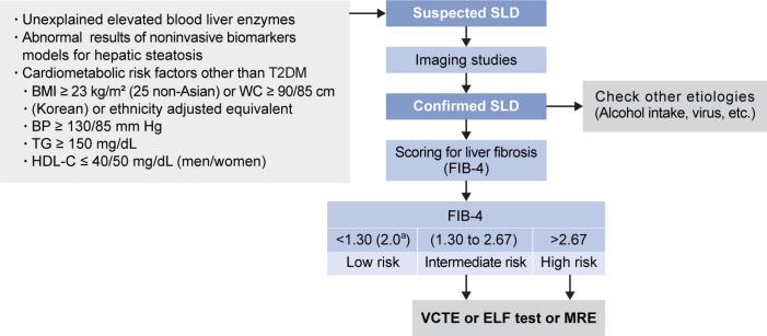 https://cdn.ncbi.nlm.nih.gov/pmc/blobs/2400/11621661/44dc1c577033/dmj-2024-0541f3.jpg