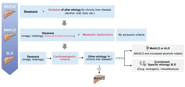https://cdn.ncbi.nlm.nih.gov/pmc/blobs/2400/11621661/4be3748ac422/dmj-2024-0541f4.jpg