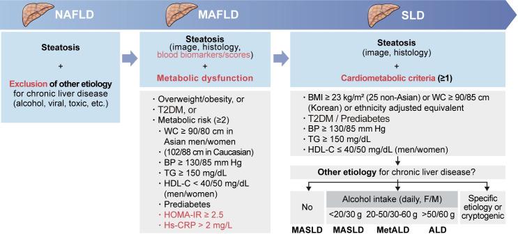 https://cdn.ncbi.nlm.nih.gov/pmc/blobs/2400/11621661/67a1fecf211e/dmj-2024-0541f1.jpg
