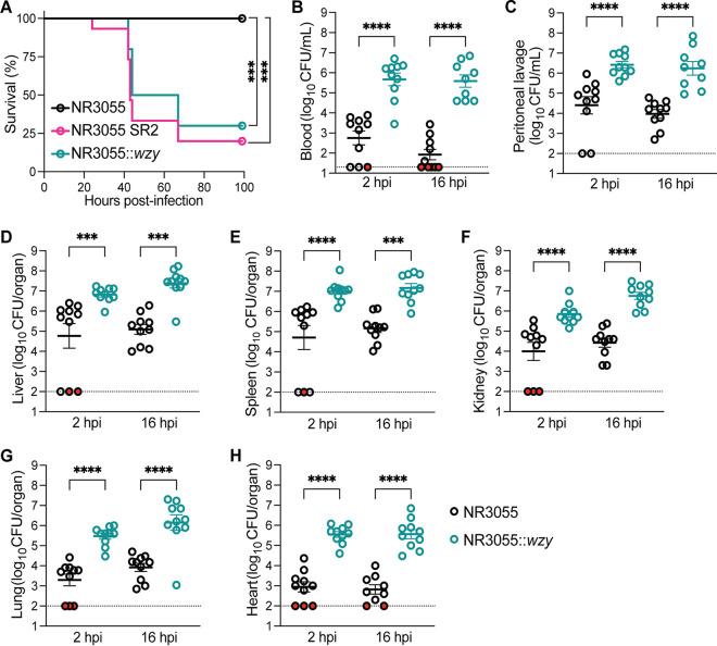 https://cdn.ncbi.nlm.nih.gov/pmc/blobs/2401/10127600/1b87a2bf1928/mbio.02590-22-f007.jpg