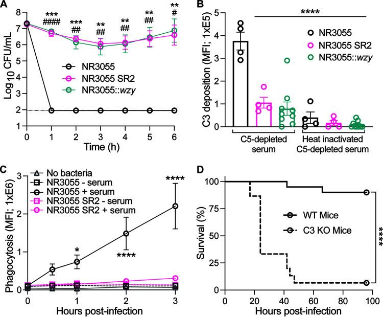 https://cdn.ncbi.nlm.nih.gov/pmc/blobs/2401/10127600/33789084e7e0/mbio.02590-22-f008.jpg
