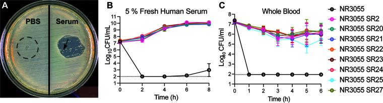 https://cdn.ncbi.nlm.nih.gov/pmc/blobs/2401/10127600/c50d2ef028e1/mbio.02590-22-f003.jpg