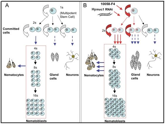 https://cdn.ncbi.nlm.nih.gov/pmc/blobs/2402/3264606/d0741d82ee32/pone.0030660.g008.jpg
