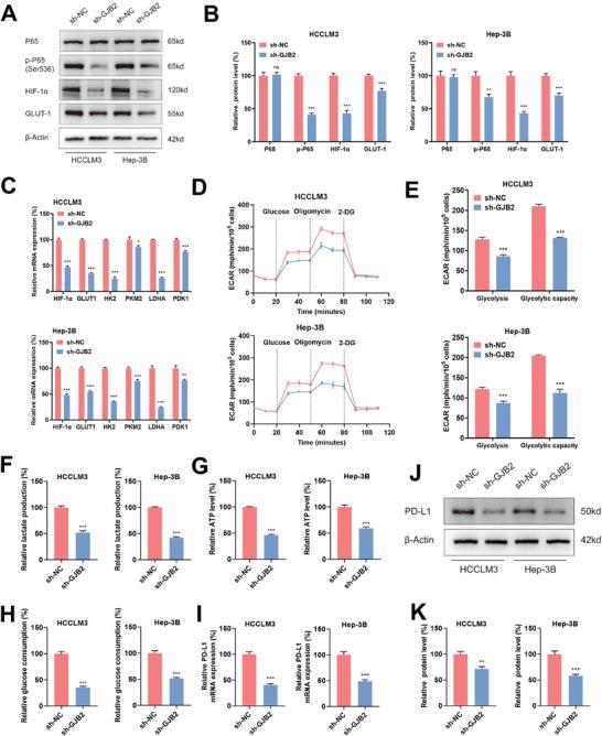 https://cdn.ncbi.nlm.nih.gov/pmc/blobs/2407/11497106/06d3e037477d/ADVS-11-2402115-g008.jpg
