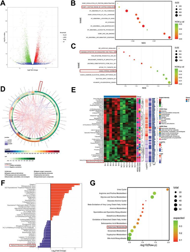 https://cdn.ncbi.nlm.nih.gov/pmc/blobs/2407/11497106/4839fcb14d78/ADVS-11-2402115-g007.jpg