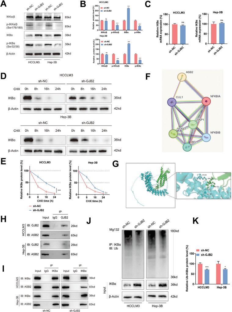 https://cdn.ncbi.nlm.nih.gov/pmc/blobs/2407/11497106/7fb1f383f0d6/ADVS-11-2402115-g010.jpg
