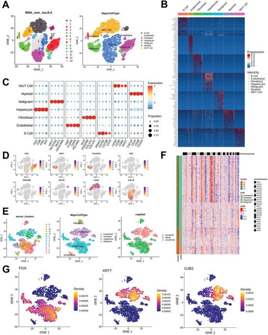 https://cdn.ncbi.nlm.nih.gov/pmc/blobs/2407/11497106/e42d97ae0be9/ADVS-11-2402115-g005.jpg