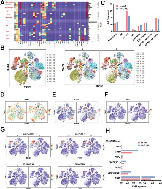 https://cdn.ncbi.nlm.nih.gov/pmc/blobs/2407/11497106/e99caa38b74c/ADVS-11-2402115-g009.jpg