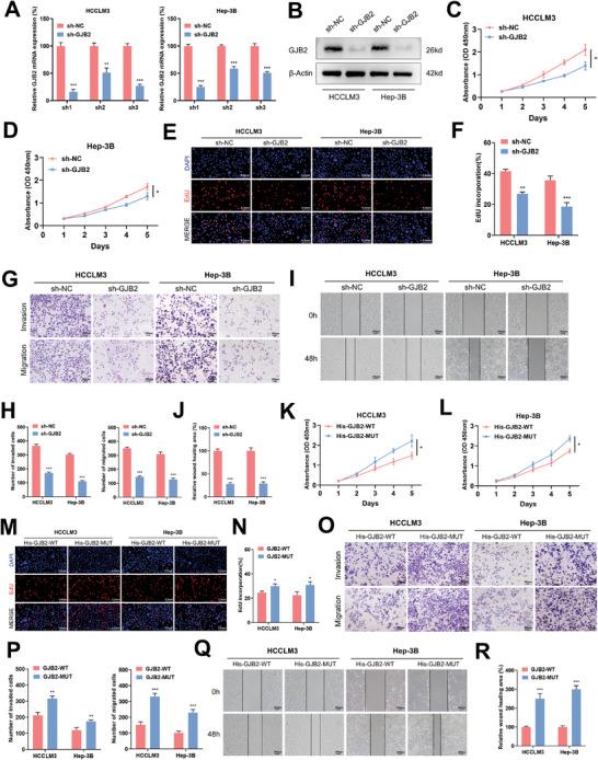 https://cdn.ncbi.nlm.nih.gov/pmc/blobs/2407/11497106/f19cbdab5af8/ADVS-11-2402115-g002.jpg