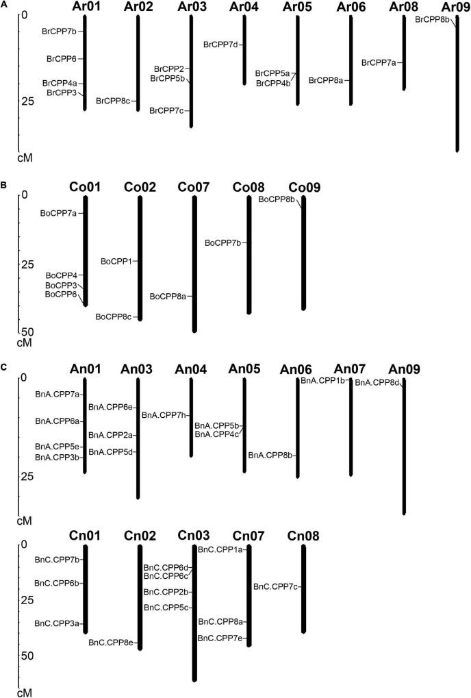 https://cdn.ncbi.nlm.nih.gov/pmc/blobs/2407/9085292/329bf0a52c96/fpls-13-873071-g002.jpg