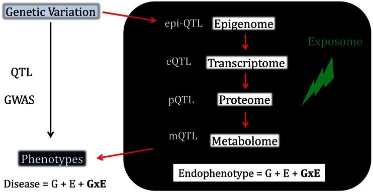 https://cdn.ncbi.nlm.nih.gov/pmc/blobs/2409/3668192/6fbd8617f45e/fgene-03-00228-g001.jpg