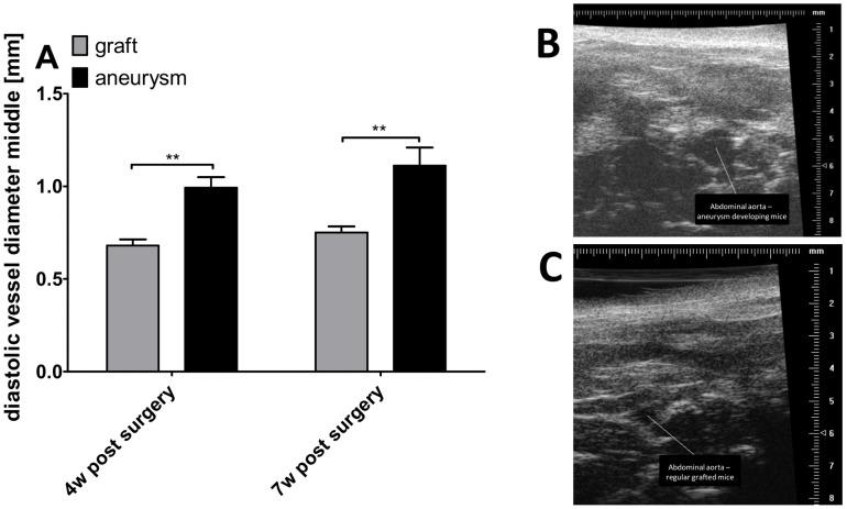 https://cdn.ncbi.nlm.nih.gov/pmc/blobs/2409/4113210/442d5ed988b1/pone.0102648.g002.jpg