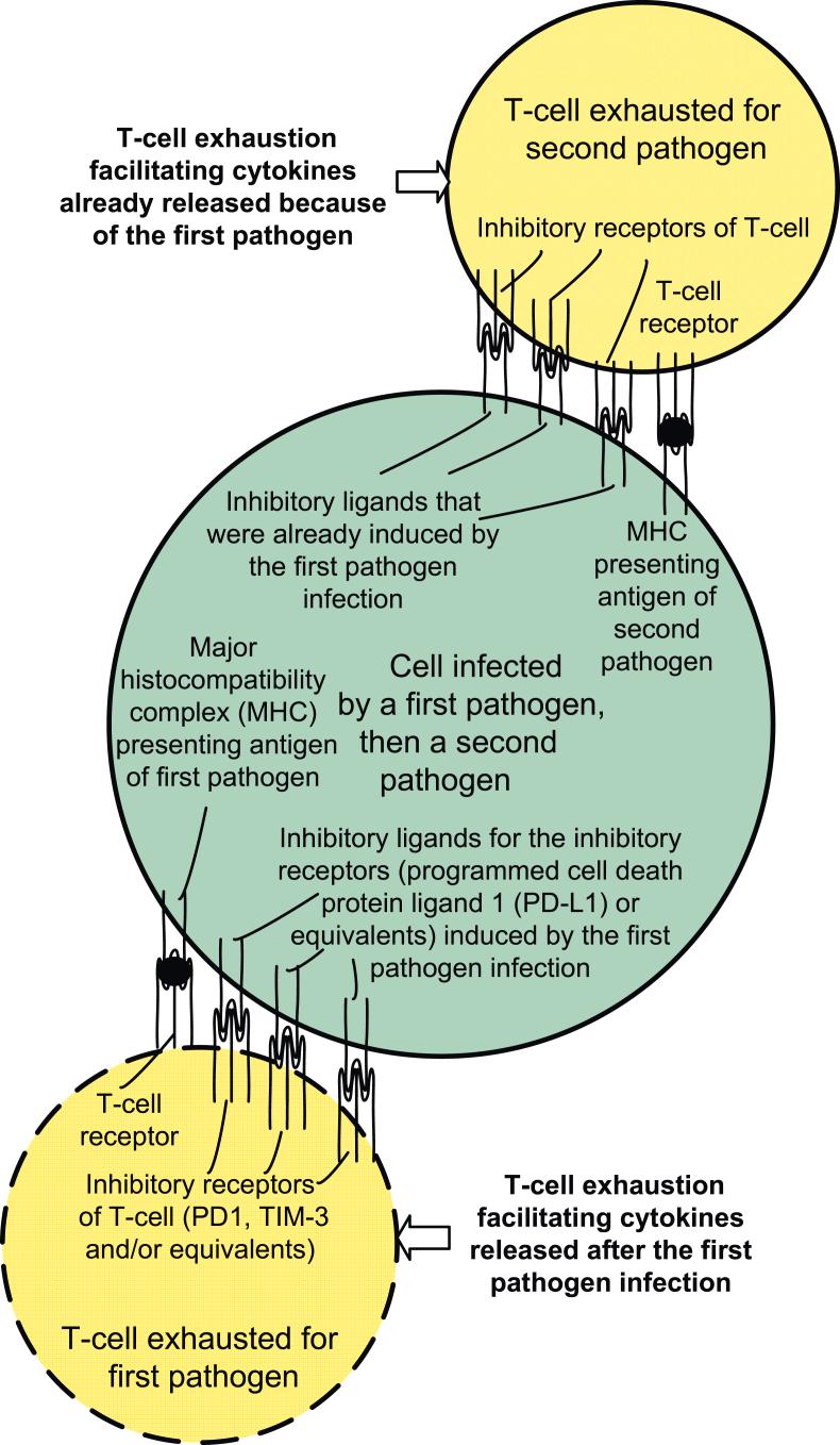 https://cdn.ncbi.nlm.nih.gov/pmc/blobs/240a/9718926/942d6a711786/gr1.jpg