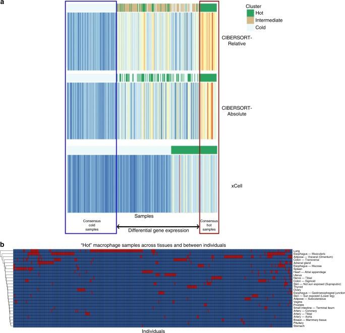 https://cdn.ncbi.nlm.nih.gov/pmc/blobs/240c/7200670/5102aa587245/41467_2020_16097_Fig3_HTML.jpg