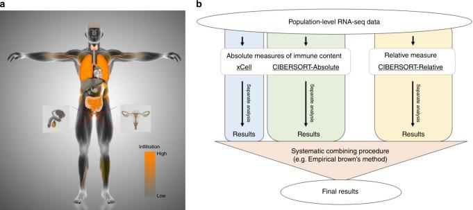 https://cdn.ncbi.nlm.nih.gov/pmc/blobs/240c/7200670/78f9327cffb4/41467_2020_16097_Fig1_HTML.jpg