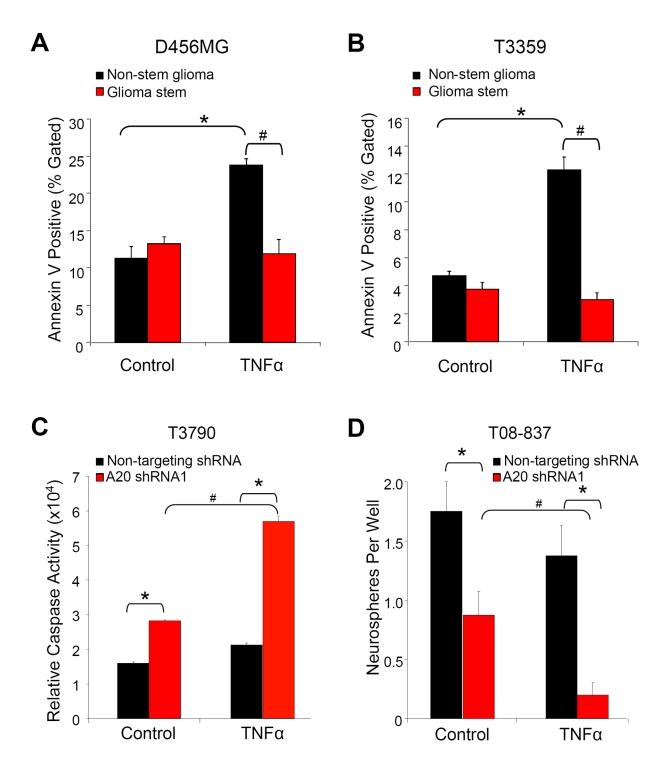 https://cdn.ncbi.nlm.nih.gov/pmc/blobs/240d/2826371/544b99001479/pbio.1000319.g006.jpg