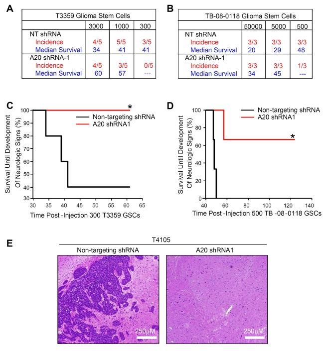 https://cdn.ncbi.nlm.nih.gov/pmc/blobs/240d/2826371/5dda40d8e5bf/pbio.1000319.g007.jpg