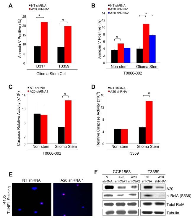 https://cdn.ncbi.nlm.nih.gov/pmc/blobs/240d/2826371/abcb75350106/pbio.1000319.g004.jpg