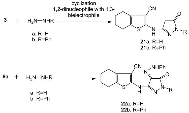 https://cdn.ncbi.nlm.nih.gov/pmc/blobs/240f/6264743/f125c295aea8/molecules-16-06271-g008.jpg