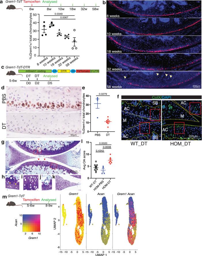 https://cdn.ncbi.nlm.nih.gov/pmc/blobs/2412/10618187/0b9d32318165/41467_2023_42199_Fig3_HTML.jpg