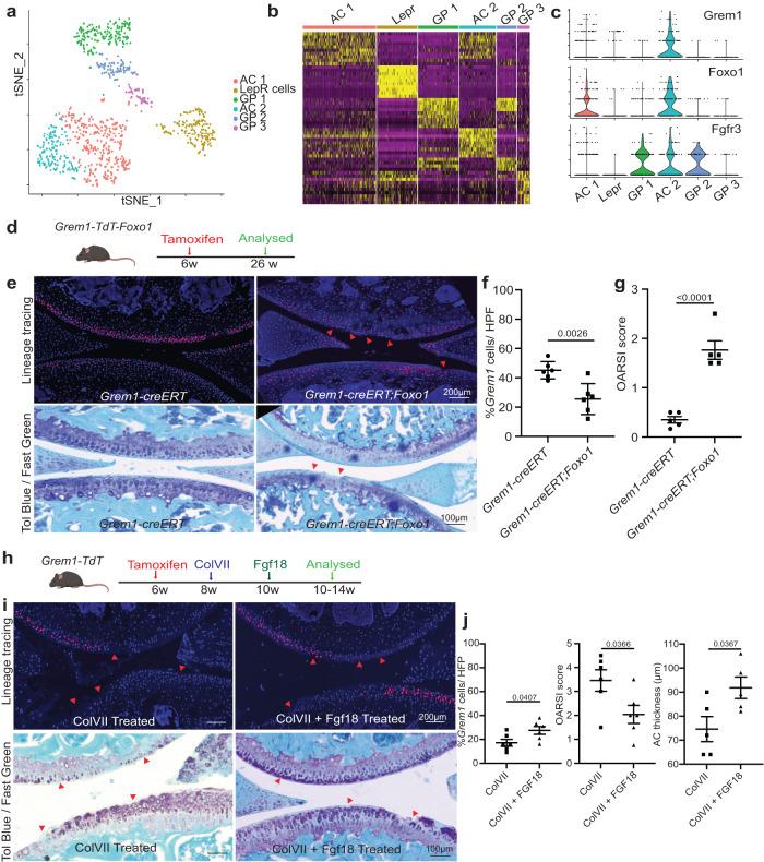 https://cdn.ncbi.nlm.nih.gov/pmc/blobs/2412/10618187/3302517acf93/41467_2023_42199_Fig4_HTML.jpg