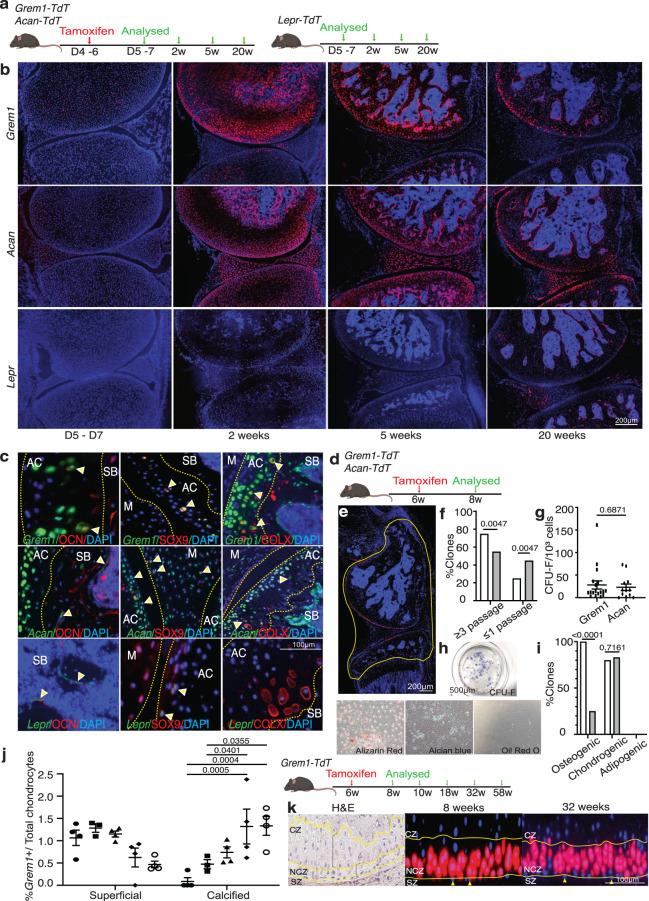 https://cdn.ncbi.nlm.nih.gov/pmc/blobs/2412/10618187/9329ae9db693/41467_2023_42199_Fig2_HTML.jpg