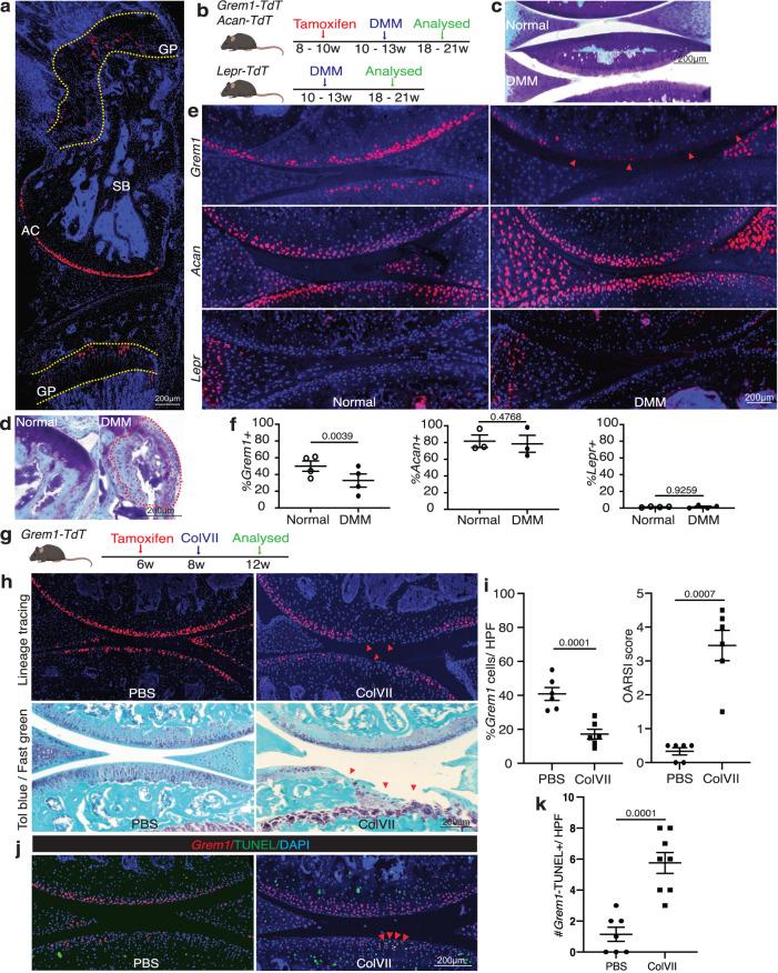 https://cdn.ncbi.nlm.nih.gov/pmc/blobs/2412/10618187/e2611cee5b23/41467_2023_42199_Fig1_HTML.jpg