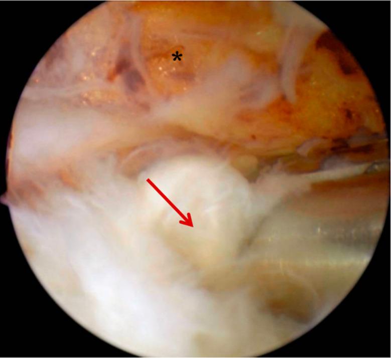 https://cdn.ncbi.nlm.nih.gov/pmc/blobs/2414/11624593/50fff7126fd1/12891_2024_8123_Fig4_HTML.jpg