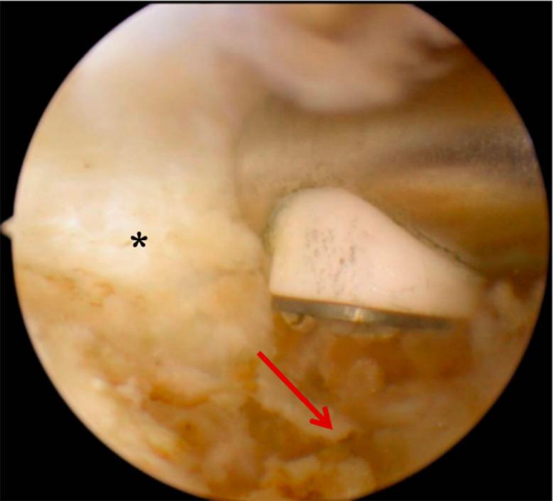https://cdn.ncbi.nlm.nih.gov/pmc/blobs/2414/11624593/538b87f378ba/12891_2024_8123_Fig3_HTML.jpg