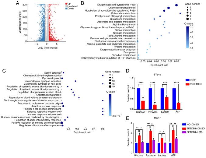 https://cdn.ncbi.nlm.nih.gov/pmc/blobs/2415/10914311/c7ef02d0c5f5/ijmm-53-04-05364-g03.jpg
