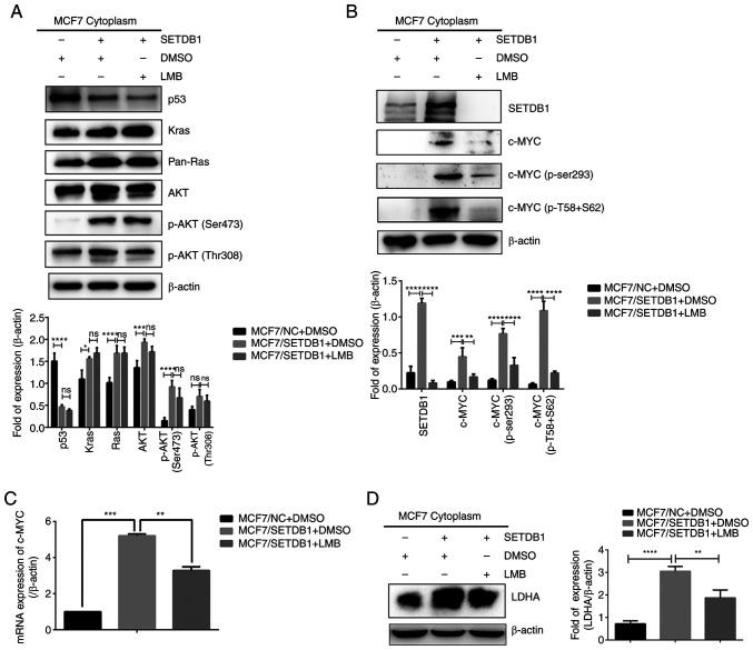 https://cdn.ncbi.nlm.nih.gov/pmc/blobs/2415/10914311/fd183241d69c/ijmm-53-04-05364-g04.jpg