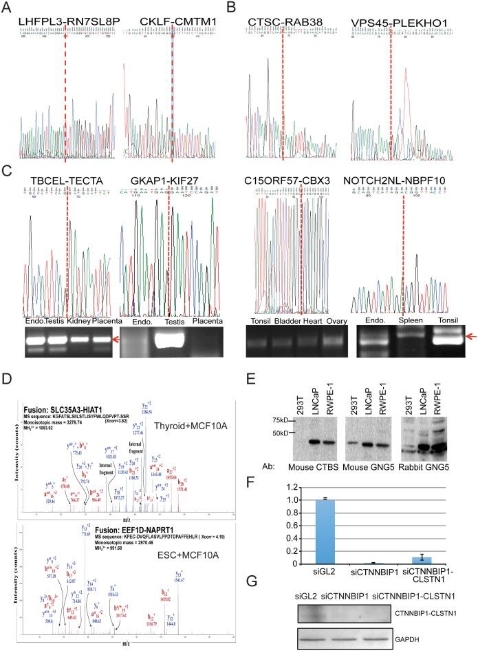 https://cdn.ncbi.nlm.nih.gov/pmc/blobs/2415/4824105/7b10f8b868fc/gkw032fig2.jpg