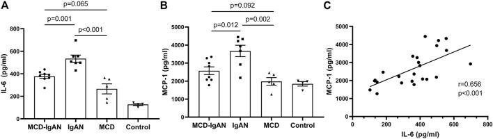 https://cdn.ncbi.nlm.nih.gov/pmc/blobs/2415/8716750/5ff6c0a3d388/fphar-12-793511-g004.jpg